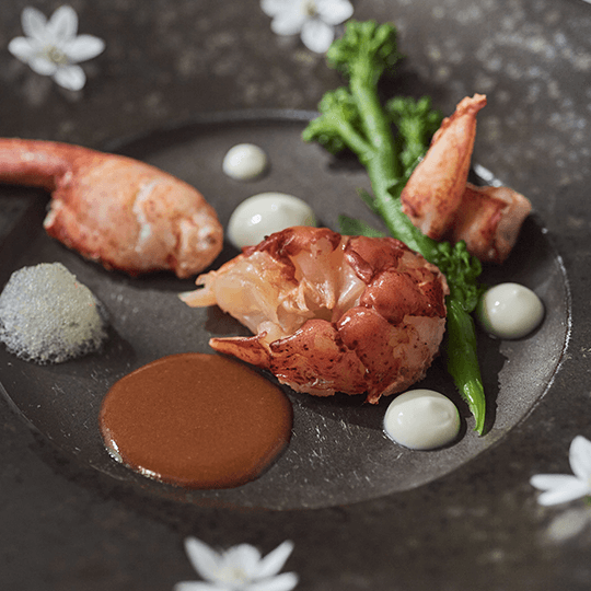 無料試食フェア