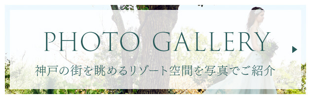 フォトギャラリー