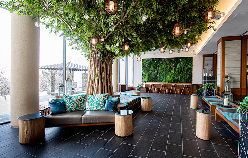 シンボルツリーが枝を広げるスーツガーデン。