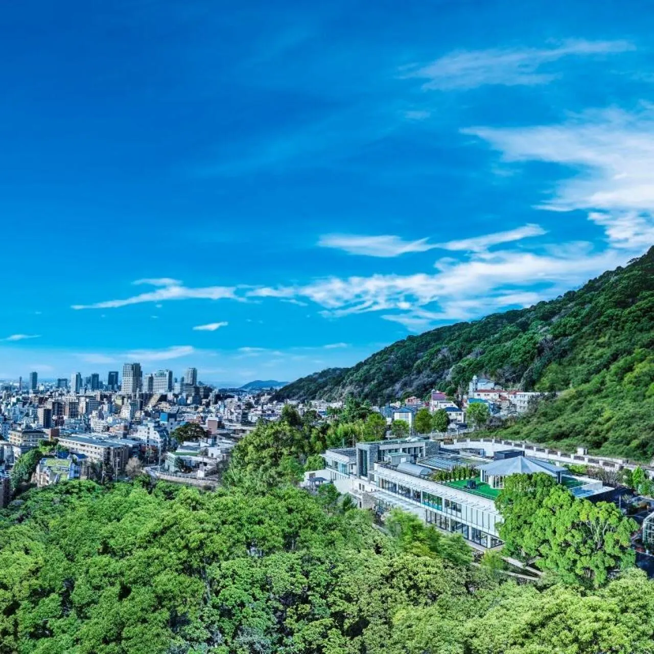 自宅で簡単♪オンライン相談会！