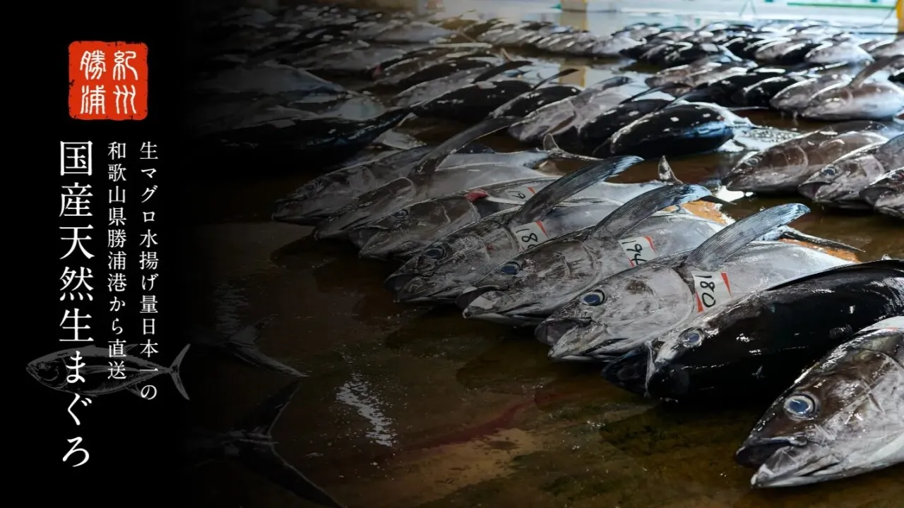 那智勝浦 生まぐろ大祭り