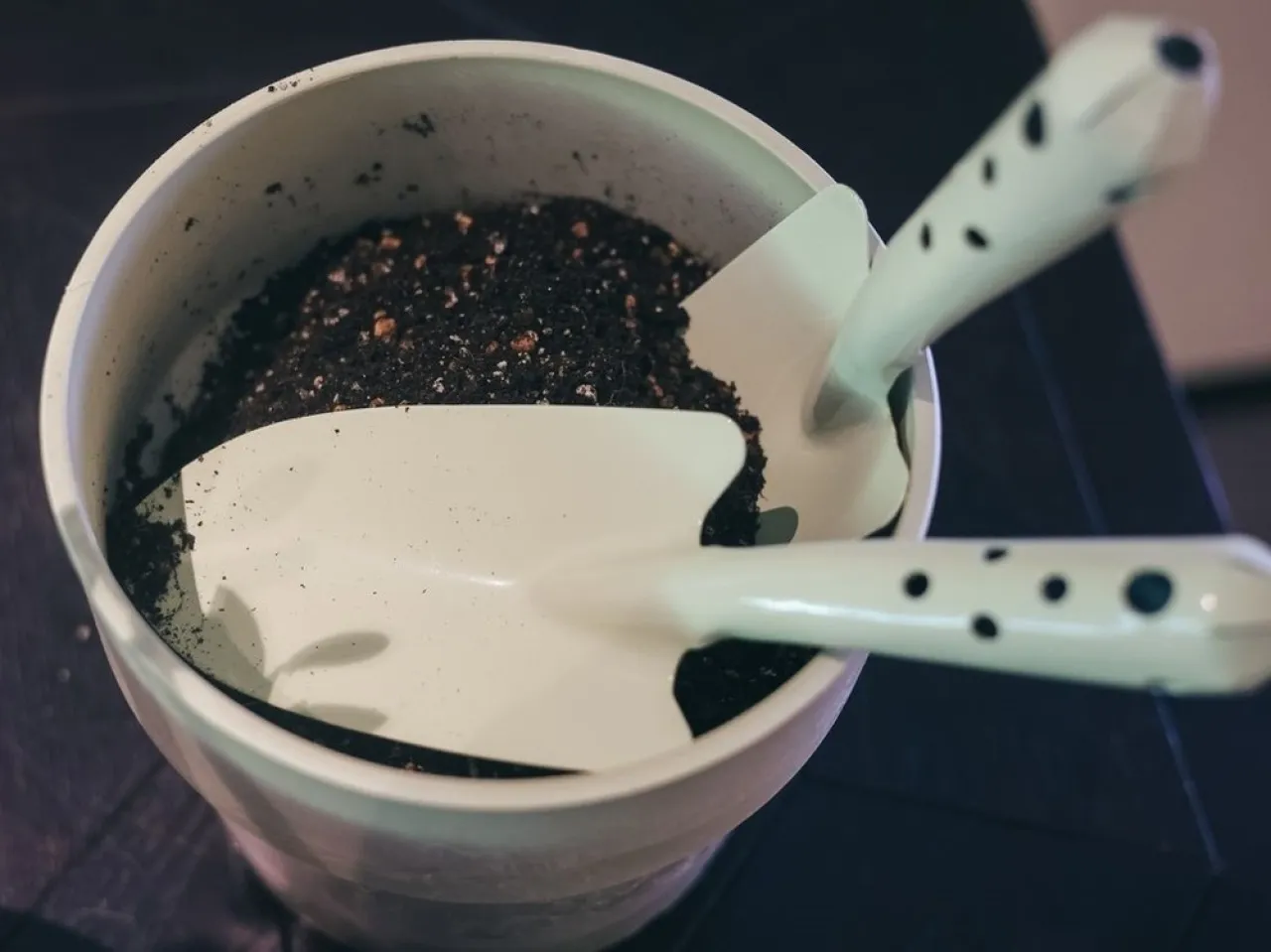 Eat, Drink and Be Cheerful!