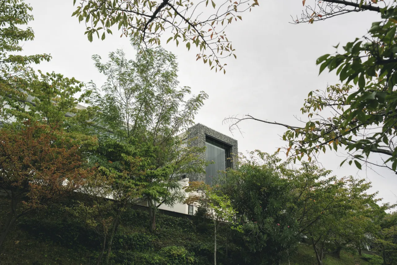 solakobe