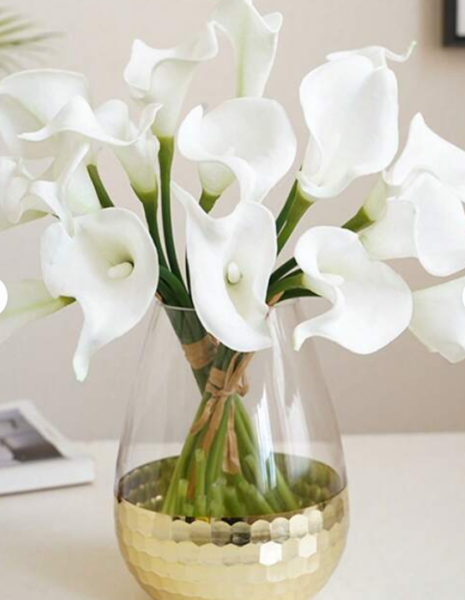 ウェルカムグッズ